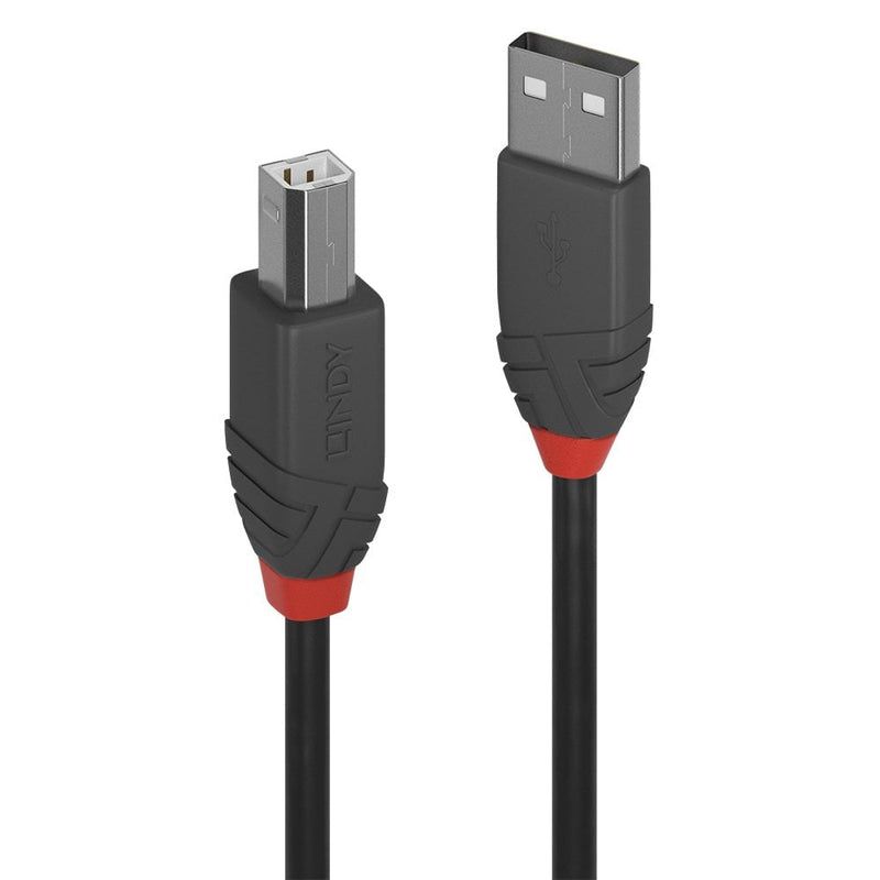 Larger view of the Lindy Anthra Line 0.5m cable ends, USB Type B plug beside the USB Type A plug