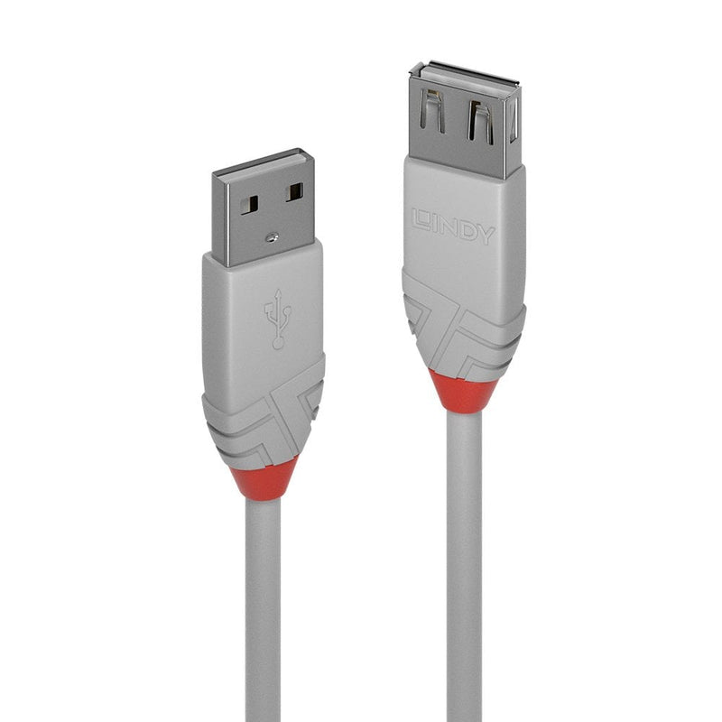 Close up of the light grey Lindy Anthra Line Type A plug and socket housings on the 3m USB 2.0 extension cable, with red collars