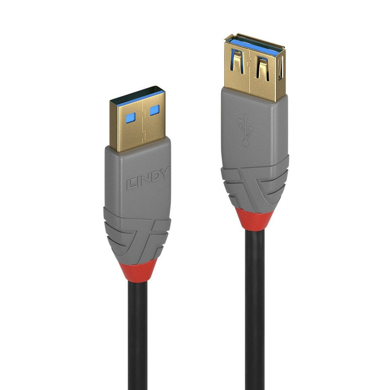 Closer view of the Lindy Anthra Line USB 3.0 Type A extension ends, showing the gold-coloured plug, the socket and blue inserts