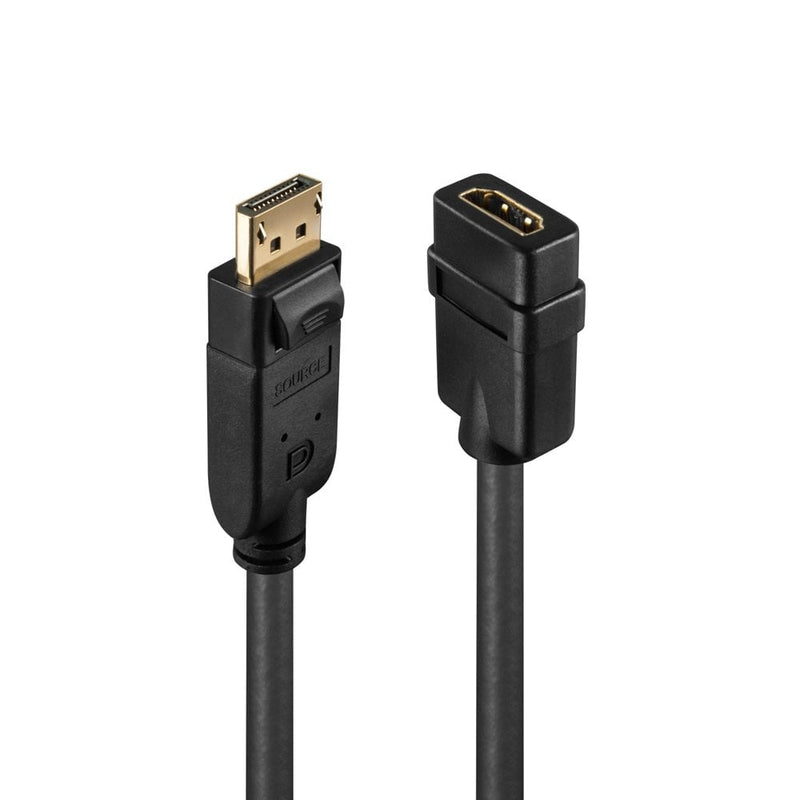 Close view of the Lindy DisplayPort to HDMI converter ends, showing the gold DisplayPort male plug beside the HDMI female socket on black leads