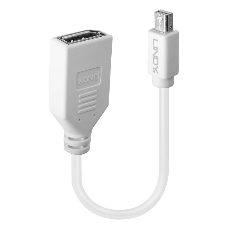 Lindy 20cm Mini DisplayPort to DisplayPort Adapter Cable in white, shown upright with the Lindy branded Mini DisplayPort plug and the DisplayPort socket