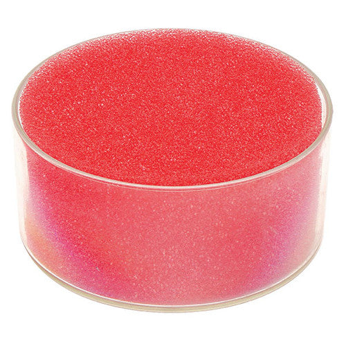 Marbig 86901 round pink moistening sponge with an open cell surface, shown seated in a clear round dish