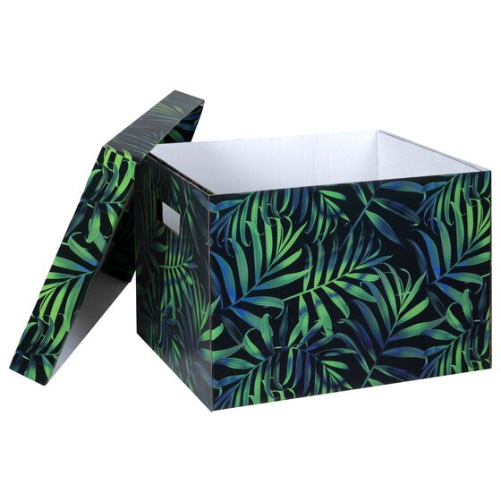 Open Marbig Midnight Palm archive box, lid lifted to one side, showing the white board lining the inside