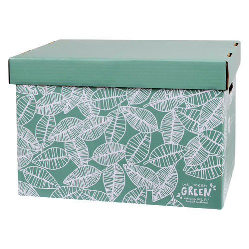 Long side of a Marbig leafy green archive box covered in white leaf line drawings under a plain sage green lid