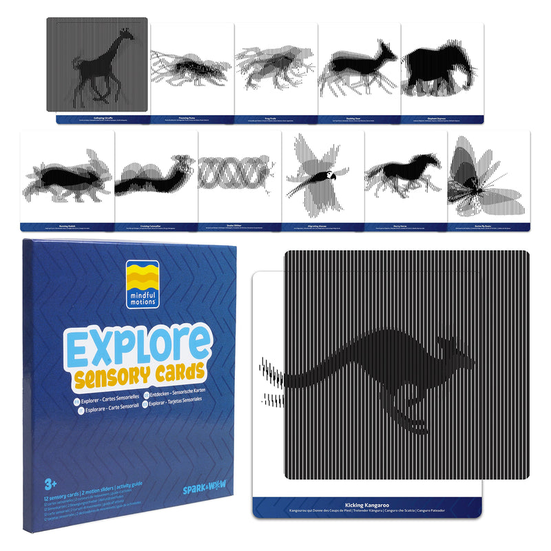 Full Mindful Motions Sensory Cards Explore set featuring multiple moving animal illusion cards, activity packaging, and motion sliders for sensory learning and visual play.
