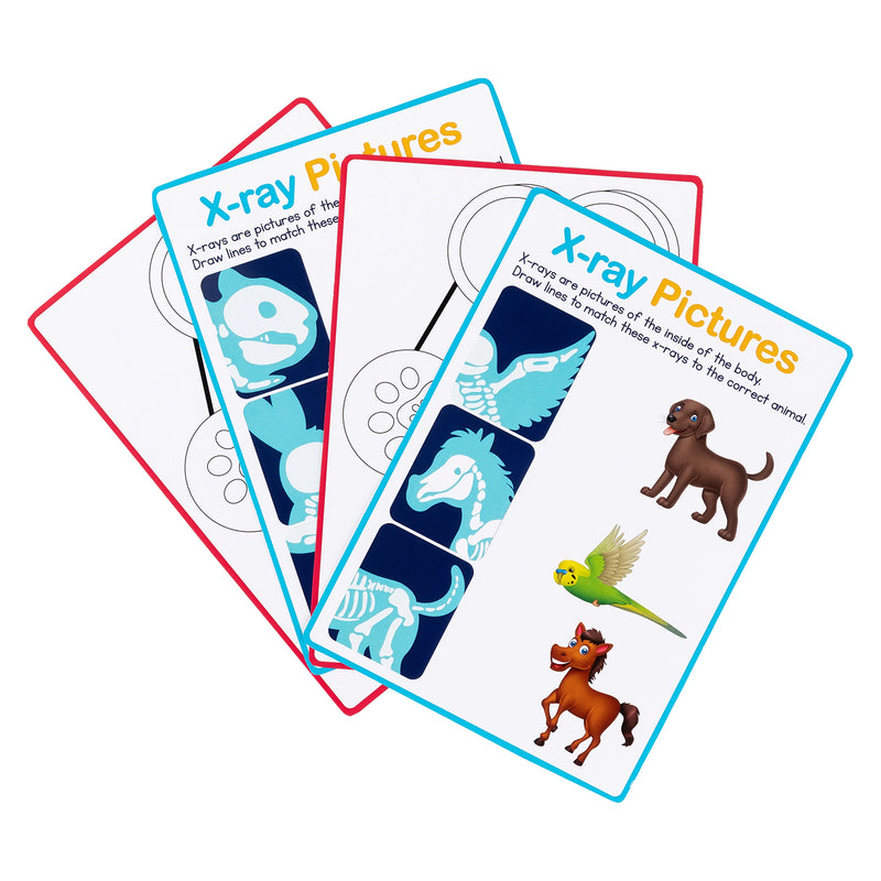 Educational X ray activity cards included with the My Vet Clinic Pretend Play Set. The cards feature animal skeleton illustrations and matching activities involving a dog, horse and budgie. Designed to encourage observation skills, animal anatomy awareness and early scientific learning through play.