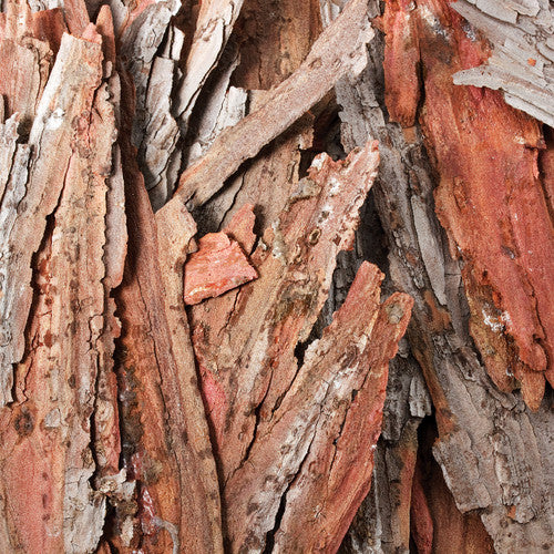 Creative School Supply Bark Pieces Assorted 250g
