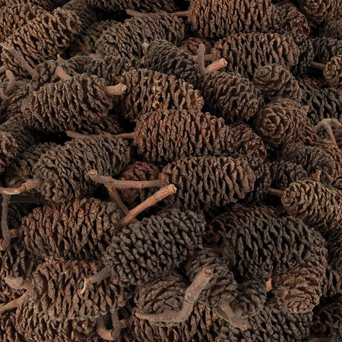 Creative School Supply Bud Cones 220g