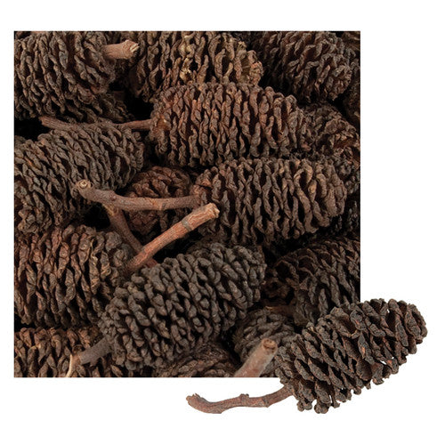 Creative School Supply Bud Cones 220g