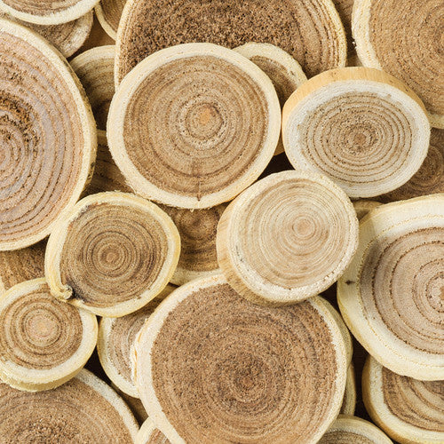 Creative School Supply Branch Pieces Round Assorted 100g