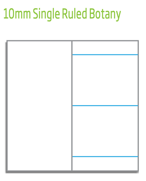 Diagram titled 10mm Single Ruled Botany showing a blank left page beside a right page with single blue ruled lines