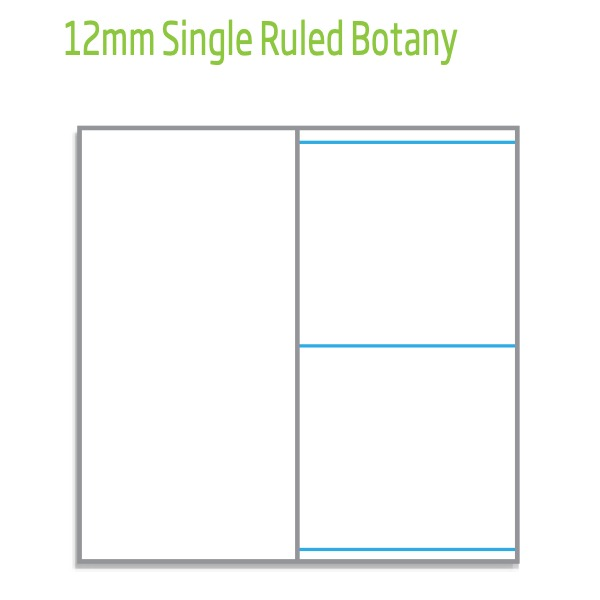 Diagram headed 12mm Single Ruled Botany with a blank left page next to a right page carrying widely spaced blue ruled lines