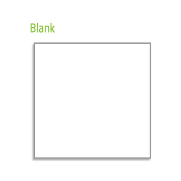 Page sample headed Blank in green lettering, showing a plain white page with no ruling inside a grey border