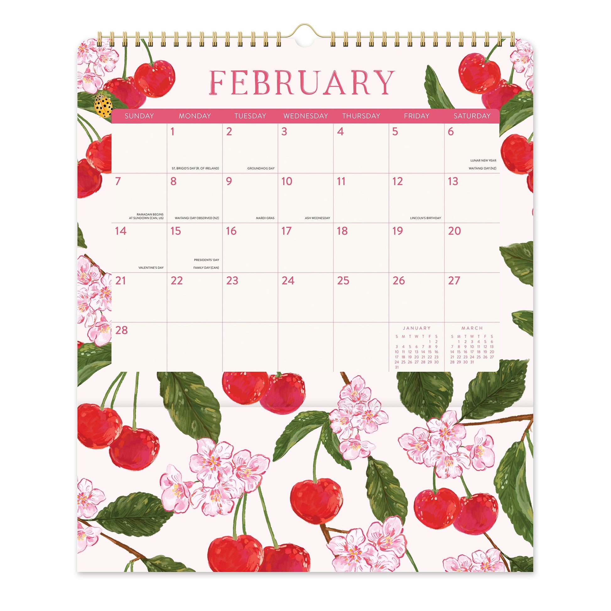 Orange Circle 2027 Pockets Plus Wall Calendar 297 x 348mm Fruit And Flora opened to show the printed monthly grid and the dated planning layout inside.