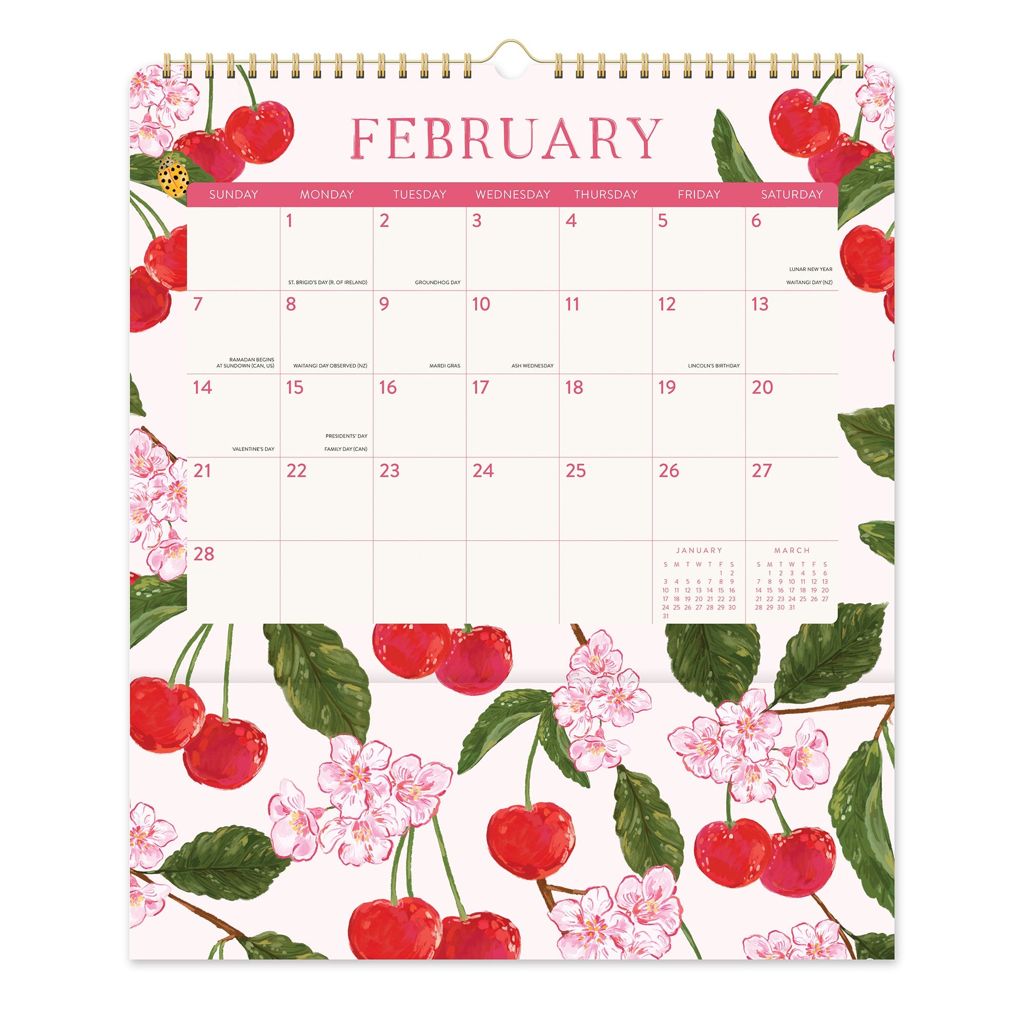 Orange Circle 2027 Pockets Plus Wall Calendar 297 x 348mm Fruit And Flora opened to show the printed monthly grid and the dated planning layout inside.
