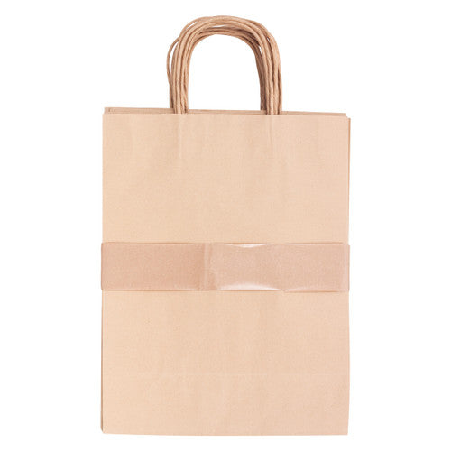 Creative School Supply Medium Paper Bags with Handle Pack of 10