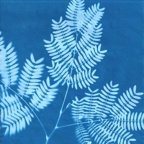 Creative School Supply Sunprint Kit 20 x 30cm Pack of 15