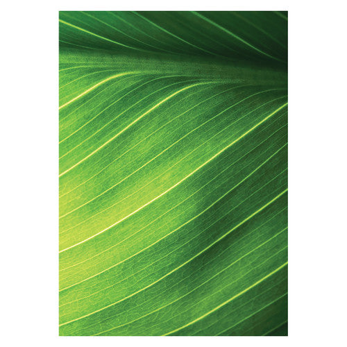 Creative School Supply Foliage Pattern Papers A4 Pack of 40