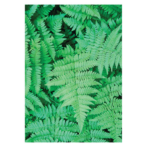 Creative School Supply Foliage Pattern Papers A4 Pack of 40