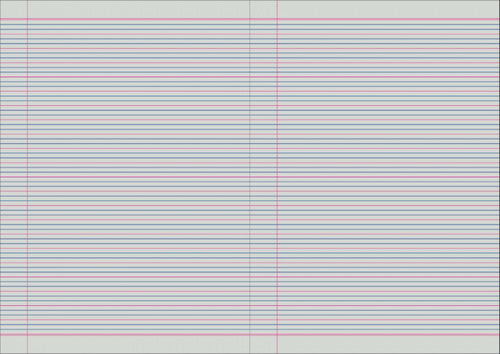 Protext Exercise Book A4 48 Page QLD Year 3 4 Ruled Polypropylene Snake Cover Pack 20 — open pages showing ruling