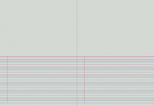 Protext Story Book 330x245mm 64 Page Plain Plus QLD Year 1 Ruled Polypropylene Echidna Cover Pack 10 — open pages