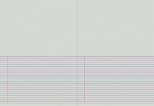 Protext Story Book 330x245mm 64 Page Plain Plus QLD Year 2 Ruled Polypropylene Platypus Cover Pack 10 — open pages