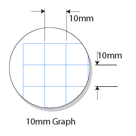Protext Graph Book A4 48 Page 10mm Polypropylene Dolphin Cover Pack 20 — open pages showing 10mm graph ruling