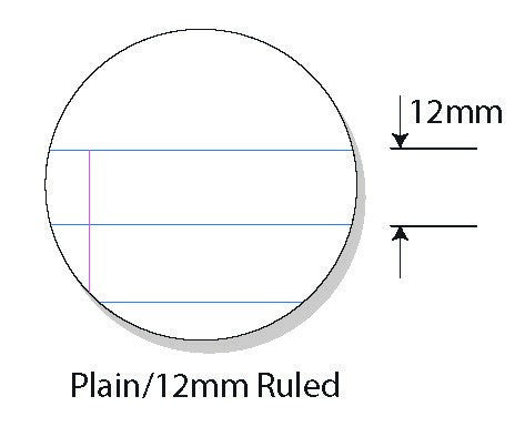 Protext Premium Story Book A4 48 Page Plain Plus 12mm Ruled Pack 20 — bulk pack of 20