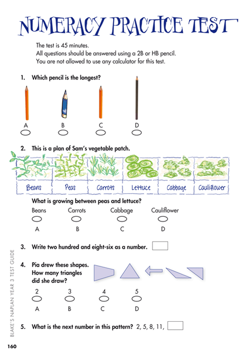 Sample interior page from Blake's NAPLAN Year 3 Test Guide showing explanations and worked examples in colour