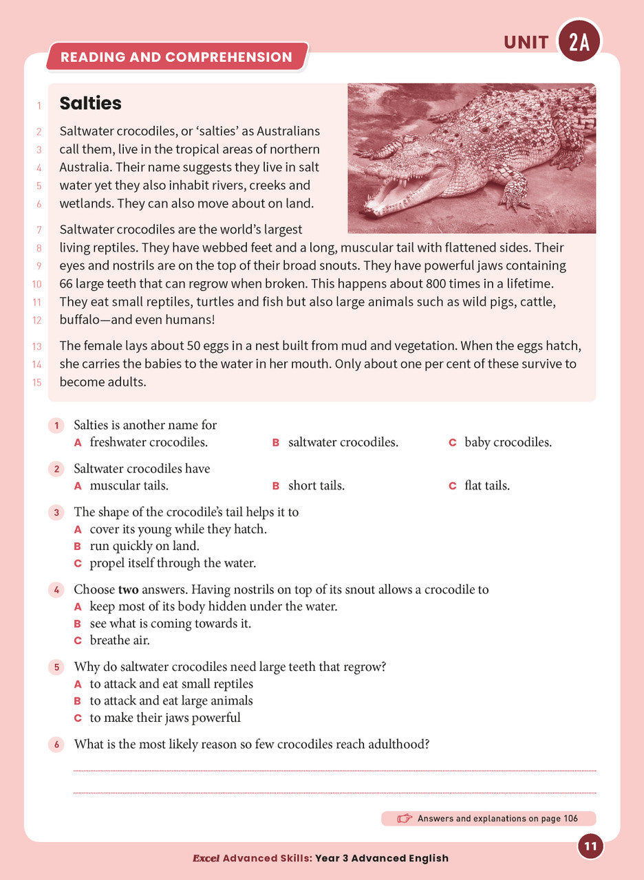 Sample interior page 11 from Excel Advanced English Year 3 showing the workbook's English activities and questions
