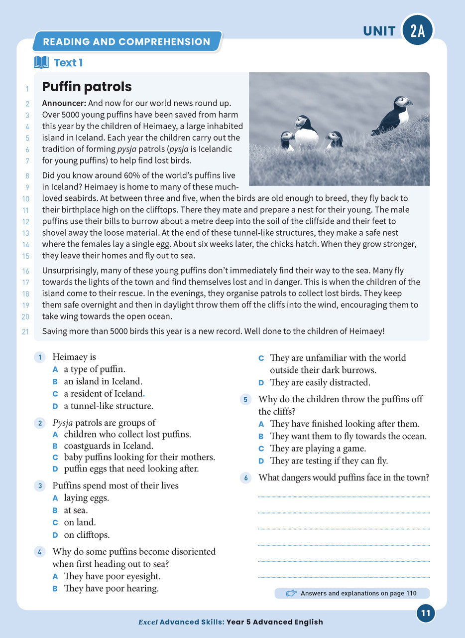 Sample interior page 11 from Excel Advanced English Year 5 showing the workbook's English activities and questions