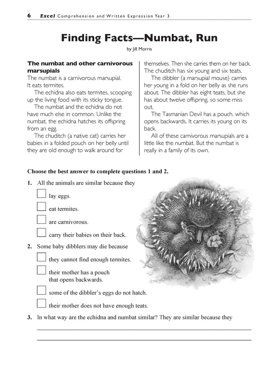 Sample interior page from the Excel Basic Skills Comprehension and Written Expression Year 3 workbook, showing example activities as displayed in the publisher gallery