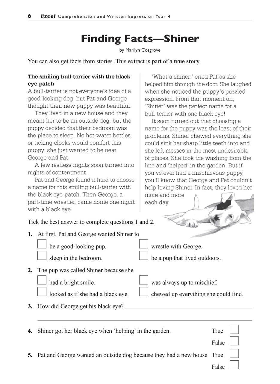 Sample interior page from the Excel Basic Skills Comprehension and Written Expression Year 4 workbook, showing example activities as displayed in the publisher gallery