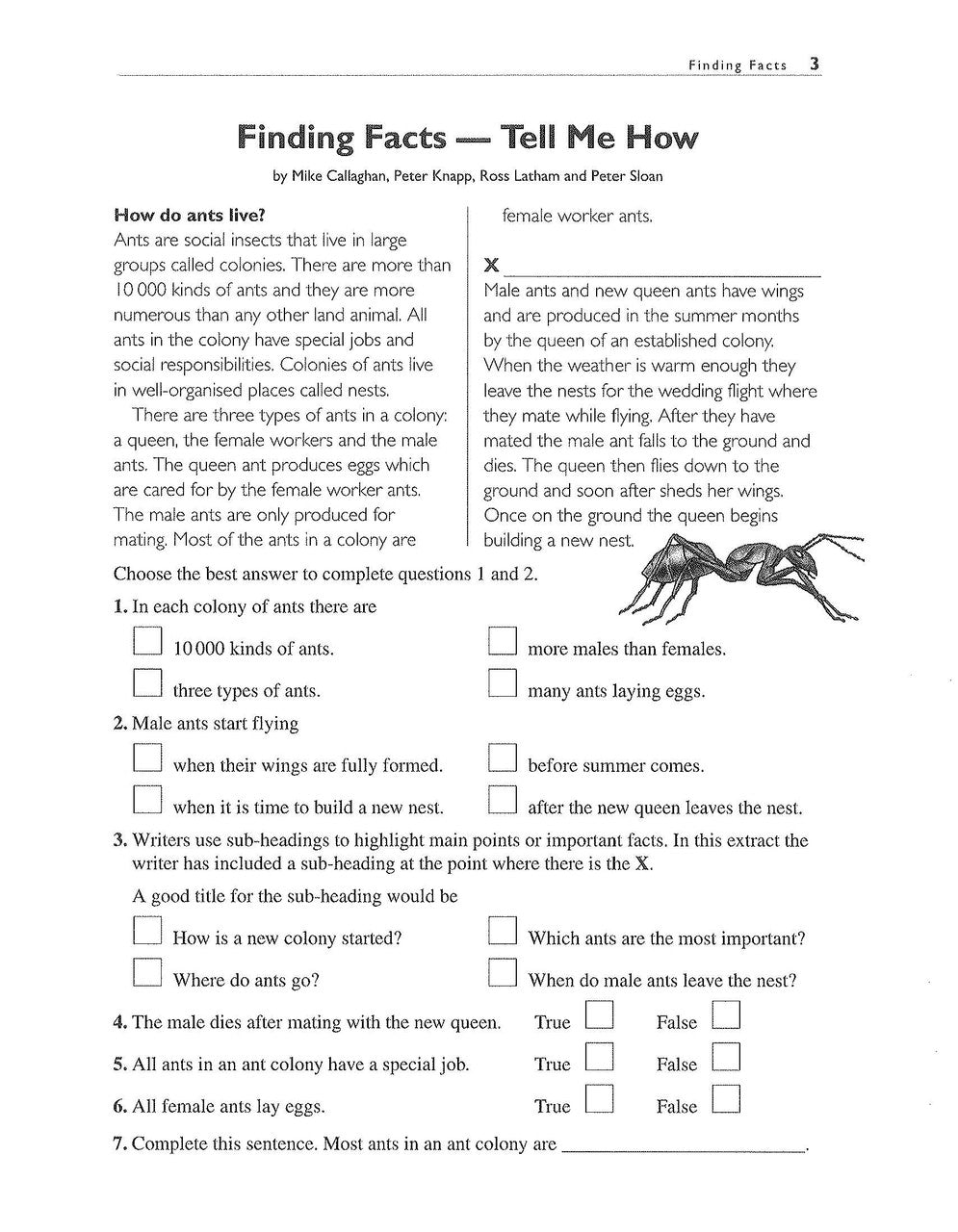 Sample interior page from the Excel Basic Skills Comprehension and Written Expression Year 5 workbook as shown in the Pascal Press gallery