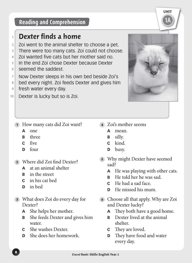 Sample inside page preview from the Excel Basic Skills English Year 2 workbook as shown in the publisher gallery