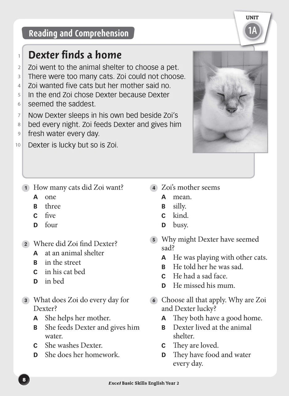 Sample inside page preview from the Excel Basic Skills English Year 2 workbook as shown in the publisher gallery