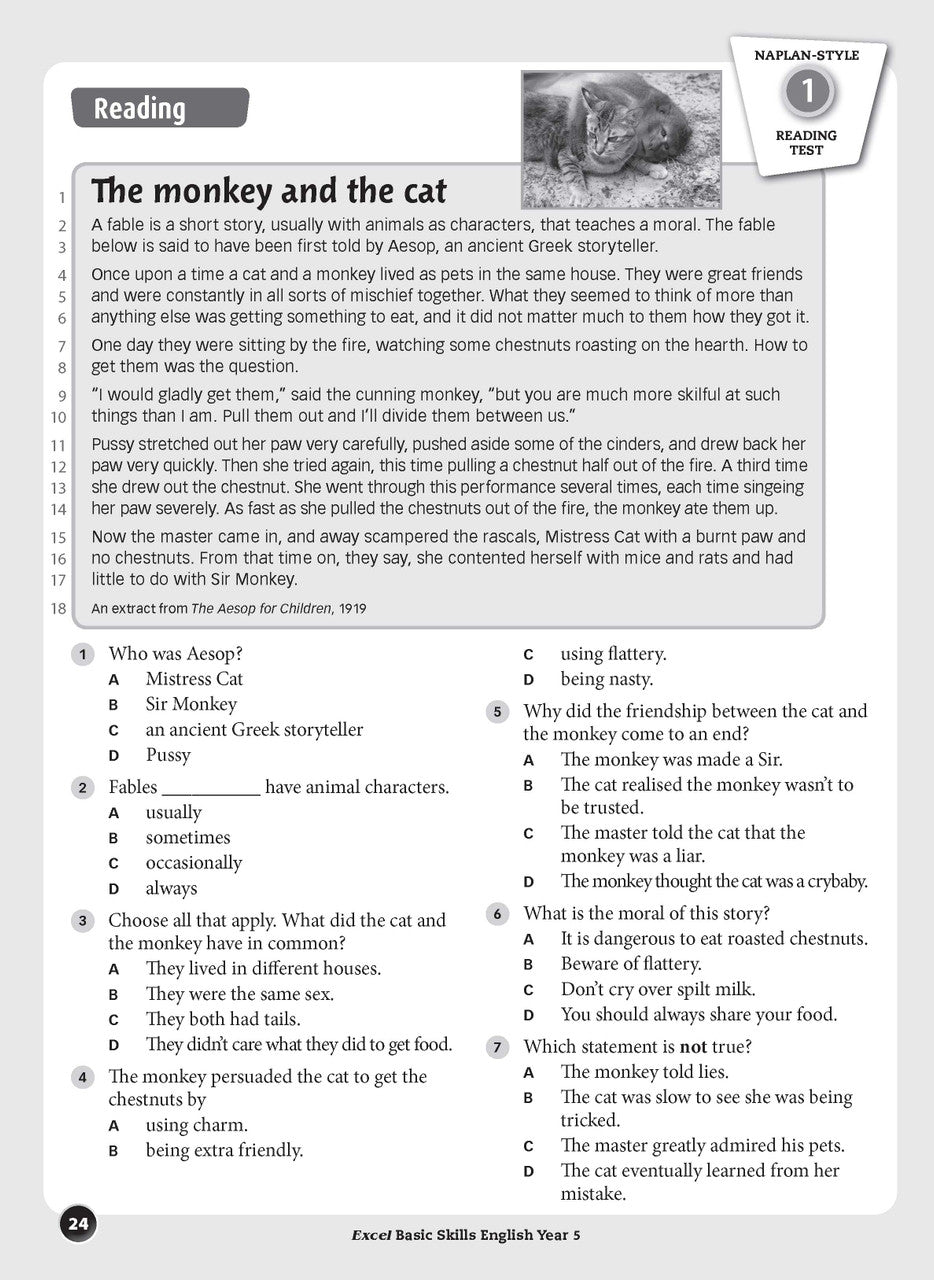 Sample interior page from the Excel Basic Skills English Year 5 workbook, showing example activities as displayed in the publisher gallery