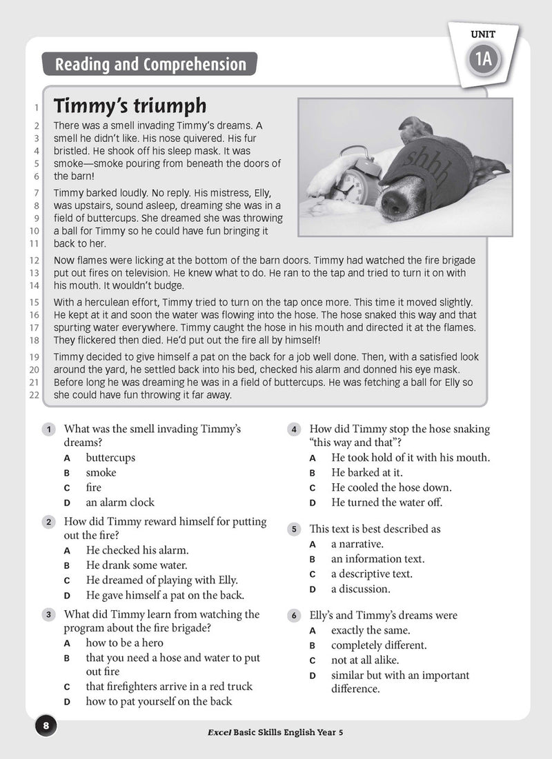Sample interior page from the Excel Basic Skills English Year 5 workbook, showing example activities as displayed in the publisher gallery