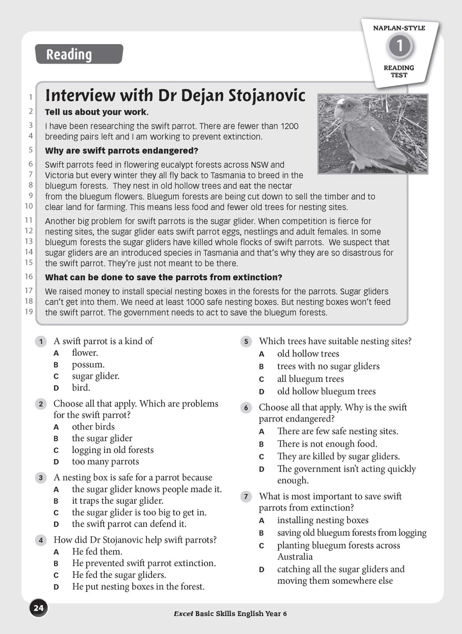 Sample interior page from the Excel Basic Skills English Year 6 workbook, showing example activities as displayed in the publisher gallery