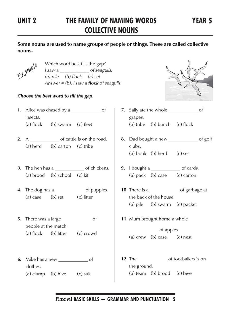 Sample interior page from the Excel Basic Skills Grammar and Punctuation Years 5-6 workbook as shown in the Pascal Press gallery