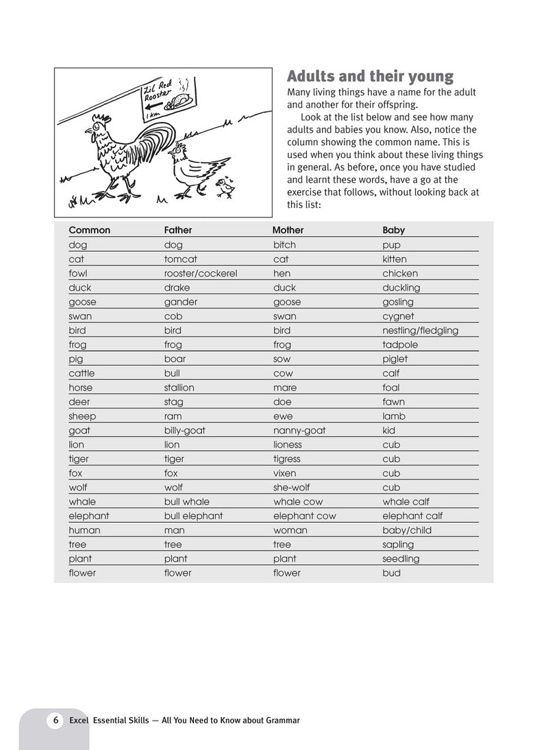 Sample interior page from the Excel Essential Skills All You Need to Know About Grammar workbook as shown in the publisher preview