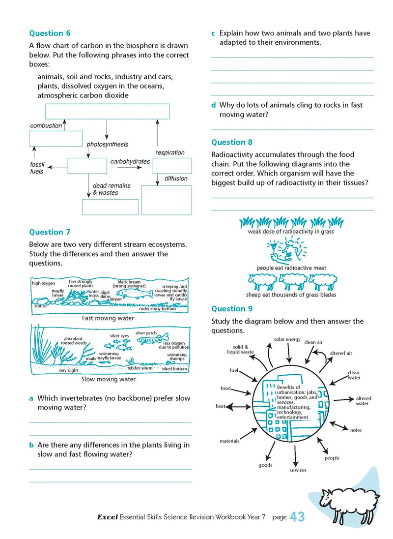 Further page image from the Pascal Press gallery for the Excel Essential Skills Science Revision Workbook Year 7, such as the back cover or an extra sample page
