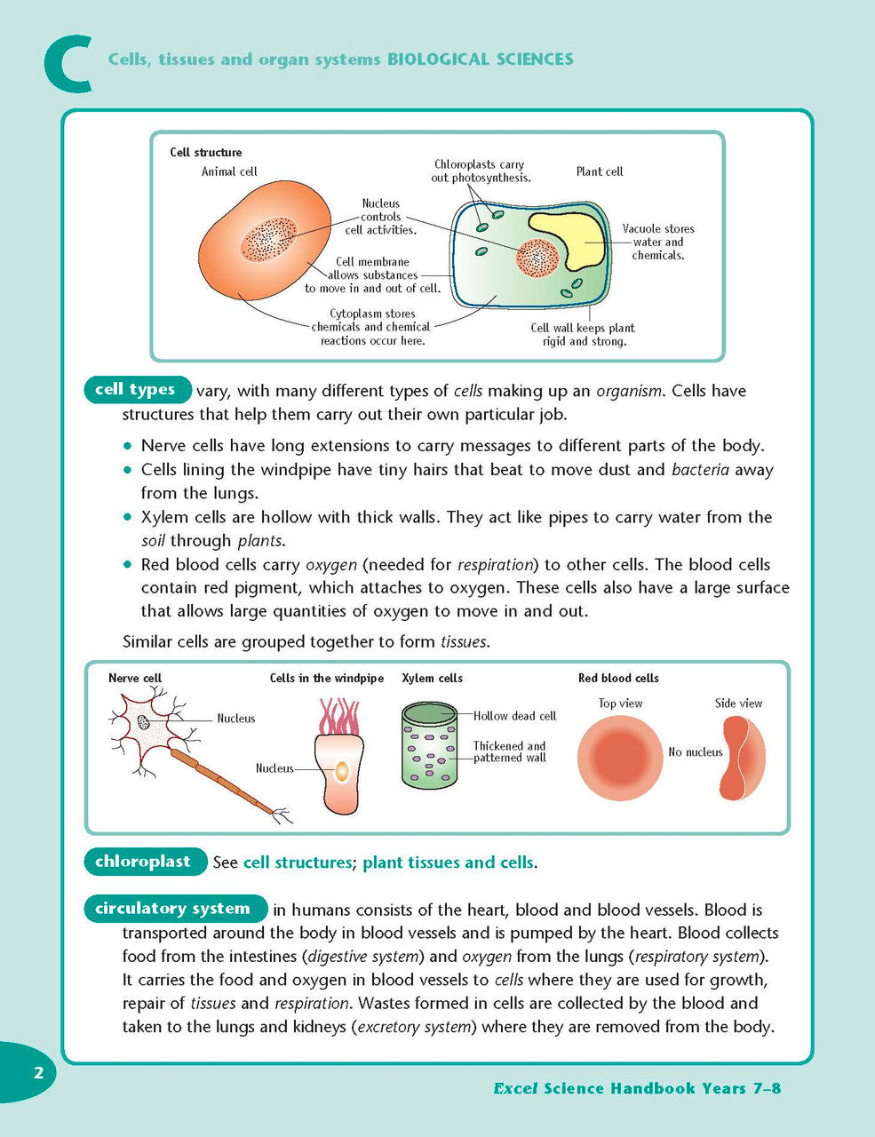 Sample interior page from the Excel Science Handbook Years 7-8 as shown in the Pascal Press product gallery