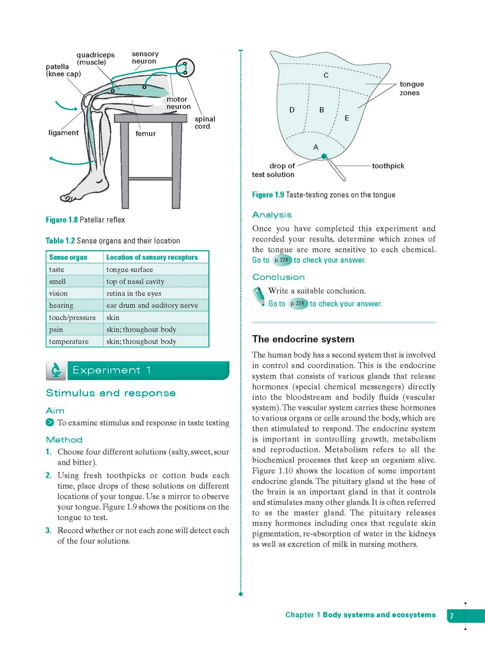 Sample interior page from Excel Study Guide Science Year 9 as shown in the Pascal Press product gallery, giving a preview of the layout and content