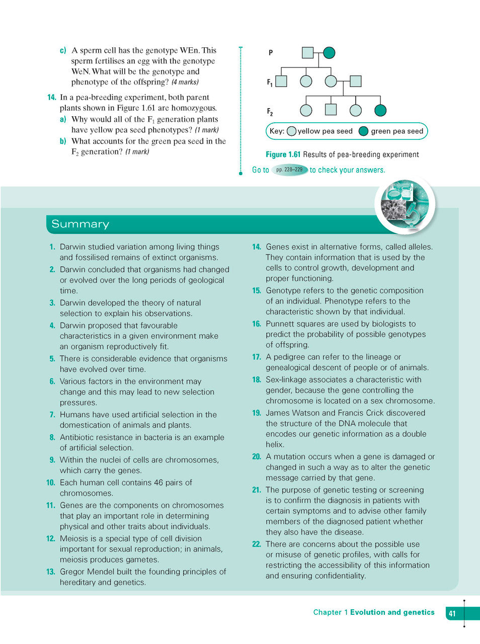 Sample interior page from Excel Study Guide Science Year 10 as shown in the Pascal Press product gallery, giving a preview of the layout and content