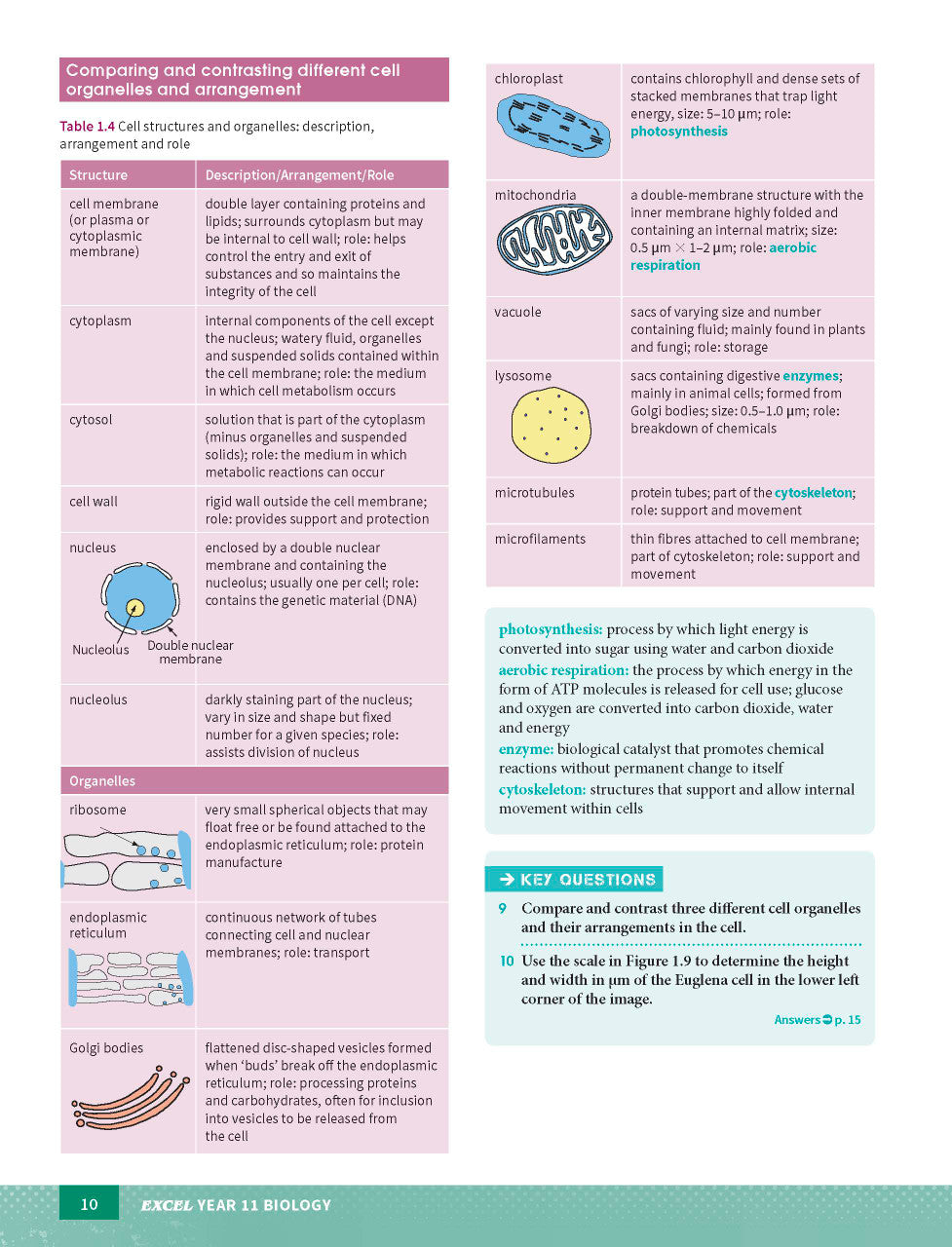 Sample page from the Excel Year 11 Biology Study Guide, as shown in the Pascal Press product gallery