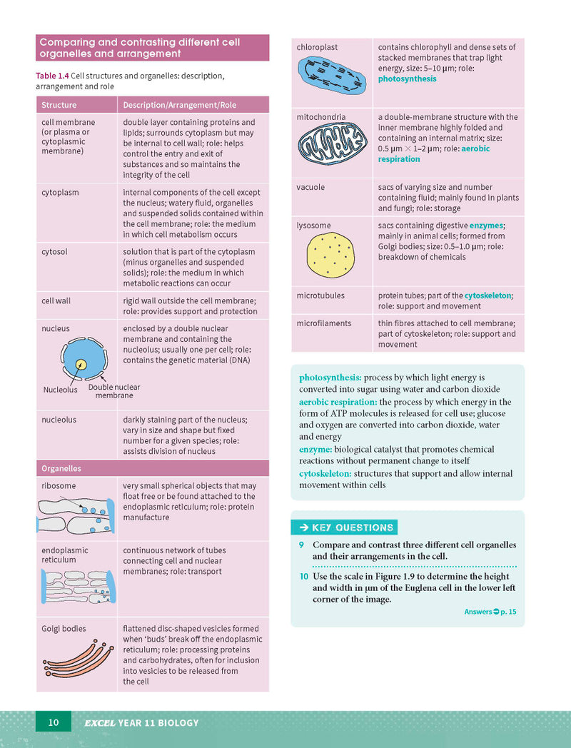 Sample page from the Excel Year 11 Biology Study Guide, as shown in the Pascal Press product gallery
