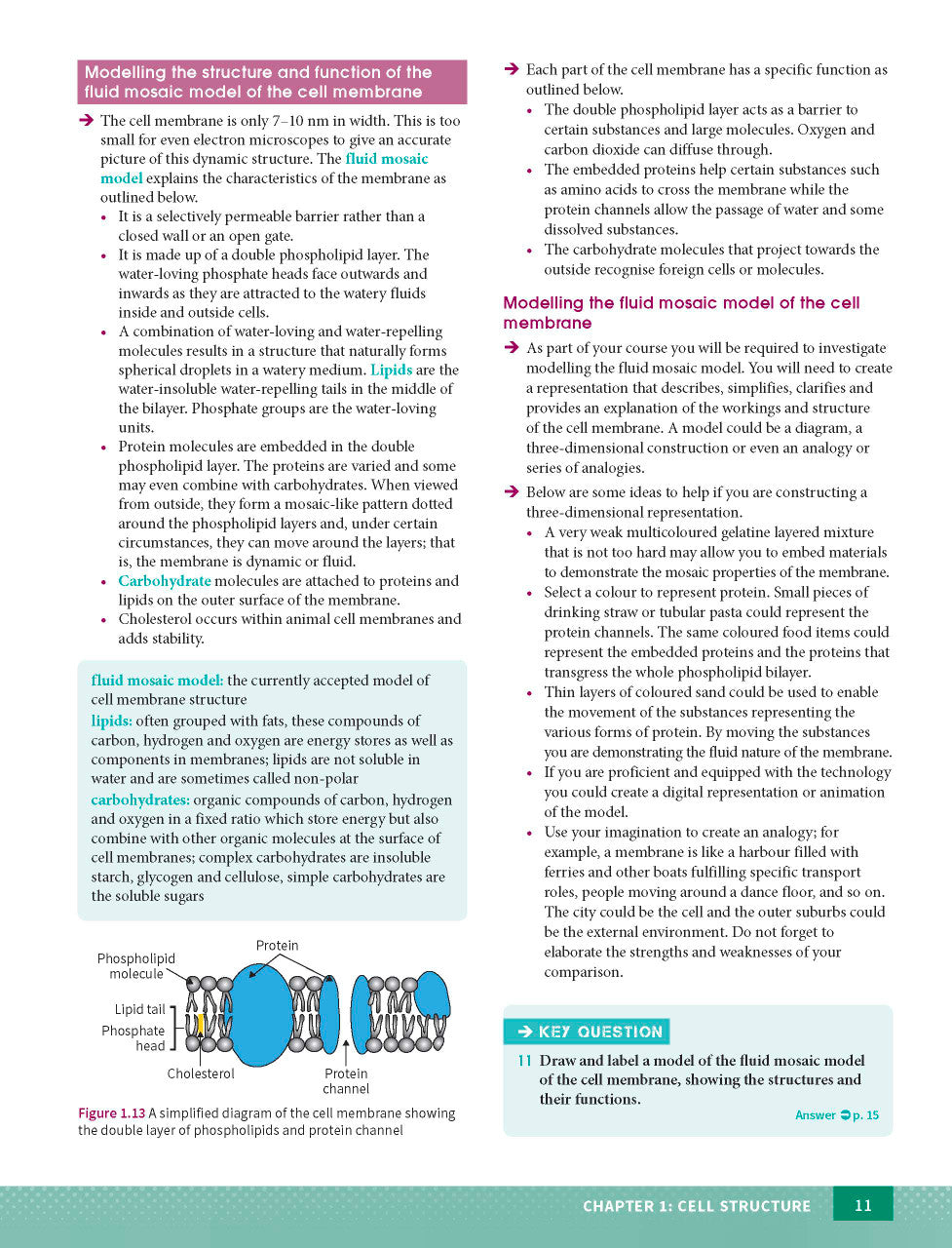 Sample page from the Excel Year 11 Biology Study Guide, as shown in the Pascal Press product gallery