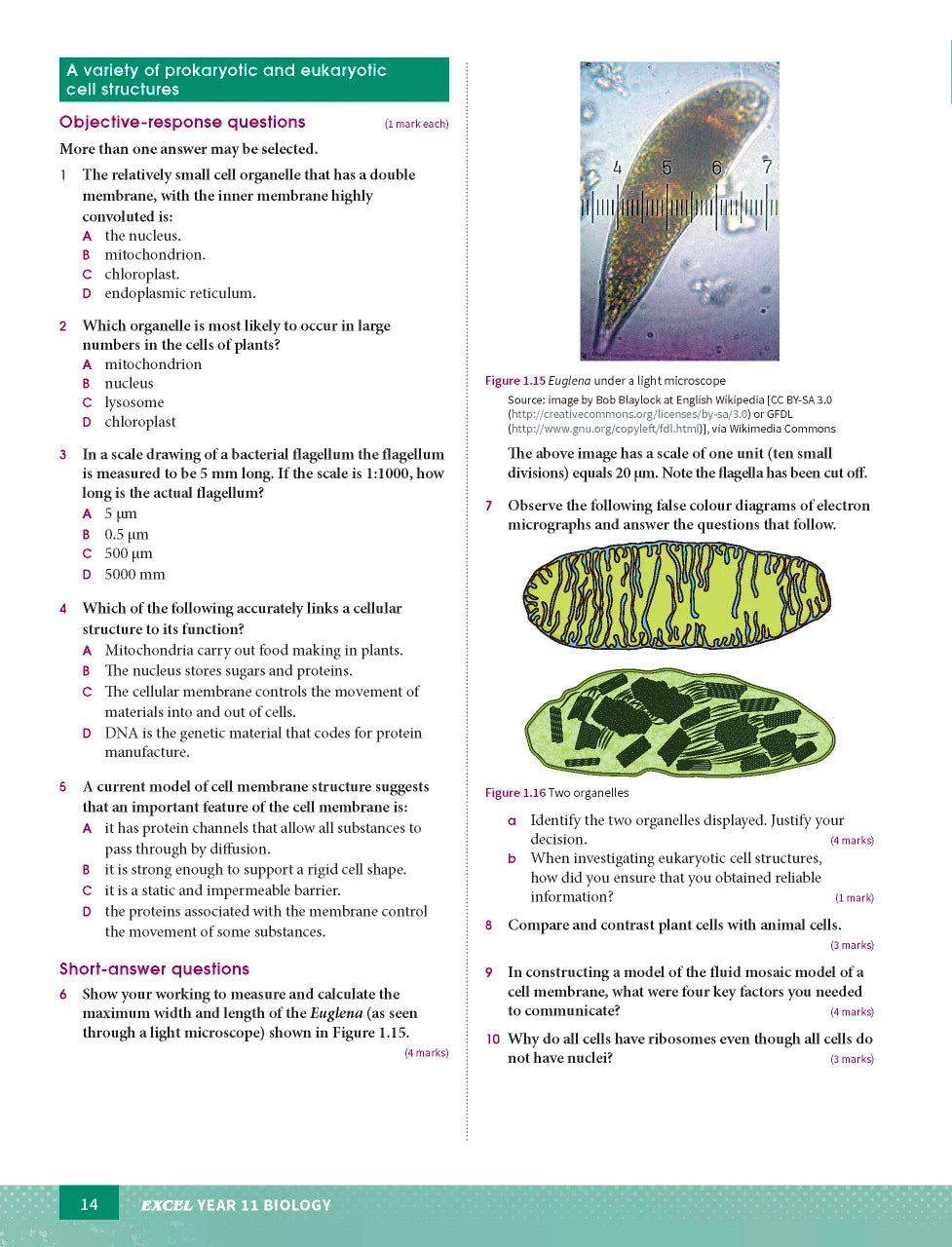 Sample page from the Excel Year 11 Biology Study Guide, as shown in the Pascal Press product gallery