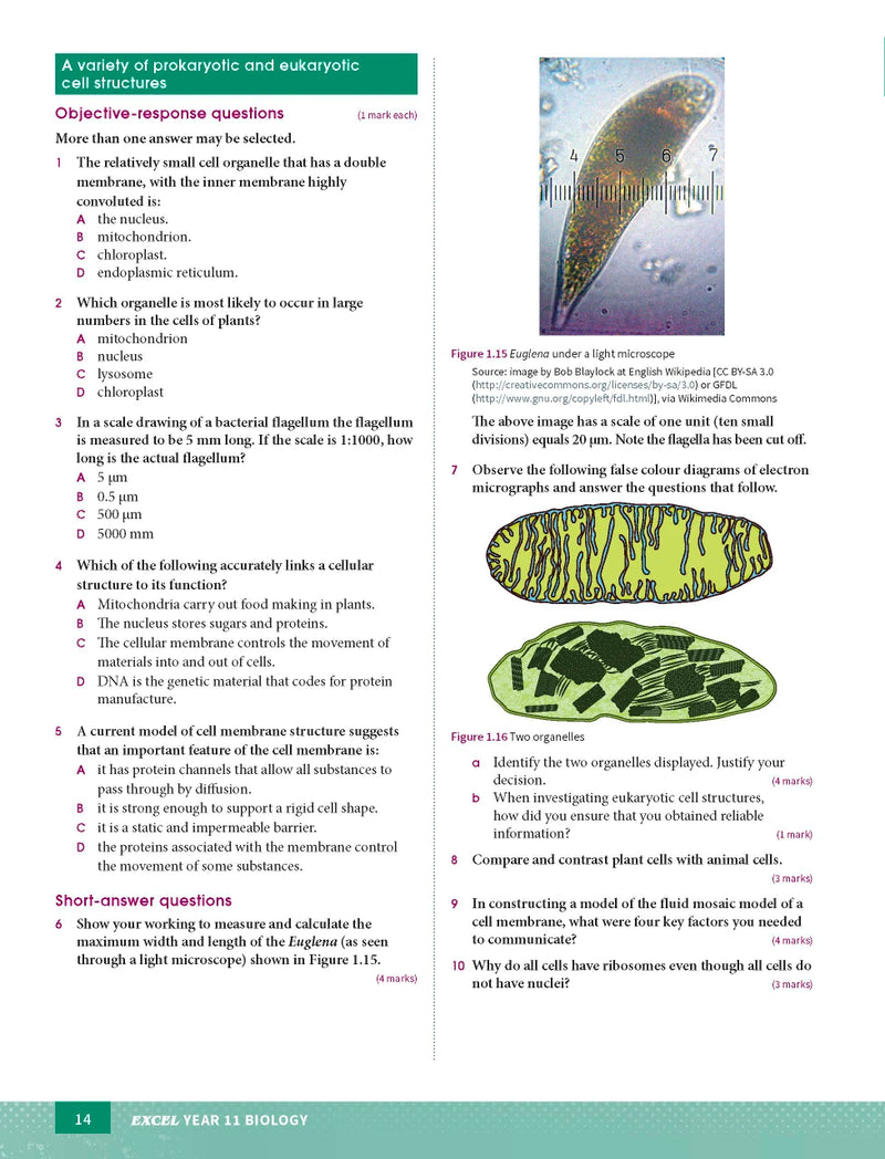 Sample page from the Excel Year 11 Biology Study Guide, as shown in the Pascal Press product gallery